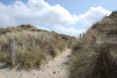 Duene-Sylt-2